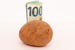 Bunch of euro banknotes and potato.