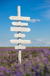 Wooden indicator in a lavender field, white wooden sign, wooden pointer
