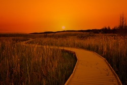 Sunset in marsh boardwalk trail