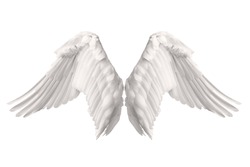 White Angel Wing - Free Stock Photo by Eric on Stockvault.net