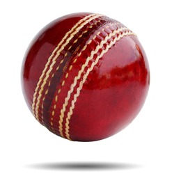  Cricket ball leather hard circle stitch close-up new isolated on white background. This has clipping path.          