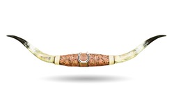 Large bull horns isolated on white background. This has clipping path. 