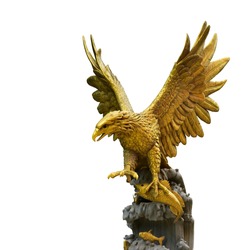 The golden eagle statue spreads its wings to catch fish on the rock. isolated on white background. This has clipping path.