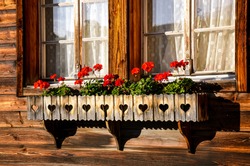 Typical red geranium flowers in the windows of traditional Alpine wooden chalets. Bavarian wooden hut. Flower decoration. Tradition, style. Bavaria, Austria, Swiss Alps