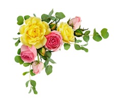 Pink and yellow rose flowers with eucalyptus leaves in a corner arrangement isolated on white background. Flat lay. Top view.
