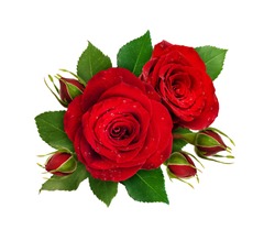 Floral composition with red rose flowers and buds isolated on white background. Flat lay. Top view.