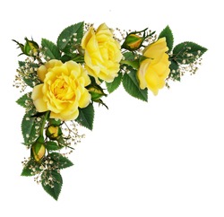 Yellow rose flowers in a corner arrangement isolated on white background. Flat lay, top view.
