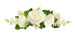 Twigs of Jasmine flowers and roses in a line arrangement isolated on white