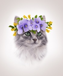 Portrait of sitting gray kitten with floral wreathe on beige background. Poster. 