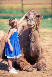 Adorable little girl with camels in the zoo on warm and sunny summer day.