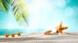 Summer background of free space for your decoration and shells on sand with green palms leaves. Sunny hot day on beach. 