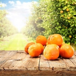 orange fruits on table 