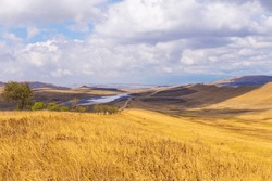 Landscape of the Georgian steppe Udabno in Georgia. Yellow-gold grass, wilde land and gravel road. Endless fields. Mountain in the background.