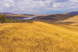 Landscape of the Georgian steppe Udabno in Georgia. Yellow-gold grass, wilde land and gravel road. Endless fields. Mountain in the background.
