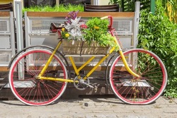 Colorful red and yellow bicycle decorated with flowers in Plock, Poland