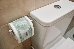 wasting money - toilet roll with US dollar printed on it - lost money concept