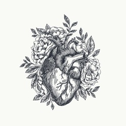 Valentines day card. Anatomical heart with flowers. Vector illustration