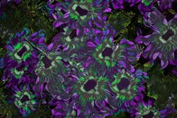 An abstract filtered floral background image.