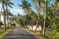 South Indian rural landscape with village house and narrow asphalt road along palm trees plantation in Kerala, India