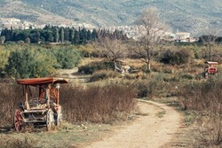 Old abandoned horse carriages left on the side of the country road. Surrealistic landscape. Concept of time, memory, history