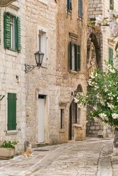 Street of the old town of Kotor in Montenegro. Empty street with ancient stone buildings in the old town of Kotor.