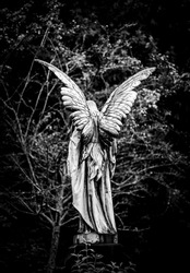 Angel gravestone full length back view in black and white