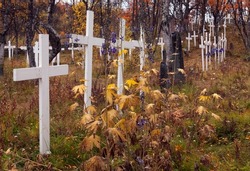 Colorful cemetery in autumn, fall. Overblown flowers this side the white crosses. 