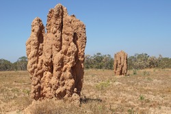 Termite mound, Kakadu National Park, Australia