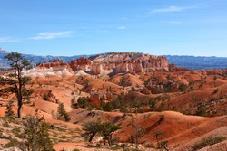 Red Landscape. This image was taken while hiking in the Queen's Garden area at Bryce Canyon National Park in Utah.