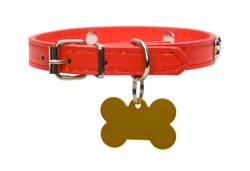 Red Leather Dog Collar with Gold Dog Tag Isolated on White.