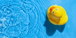 Yellow rubber toy duck in a blue pool. Summer concept. Top View