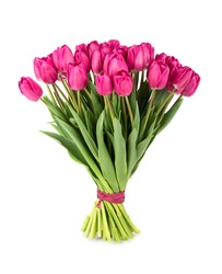 Fresh lush bouquet of pink tulips isolated on white background