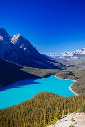 Peyto Lake is a glacier-fed lake located in Banff National Park in the Canadian Rockies. The lake itself is easily accessed from the Icefields Parkway.