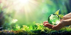 Hands Holding Globe Glass In Green Forest - Environment Concept - Usa elements of this image furnished by NASA
