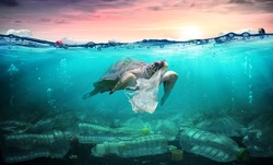 Plastic Pollution In Ocean - Turtle Eat Plastic Bag - Environmental Problem
