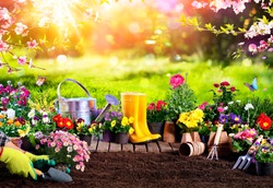 Spring Gardening - Flowerpots An Equipment In Sunny Garden
