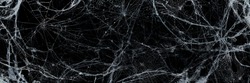 Halloween Background - Spooky Cobweb In The Darkness