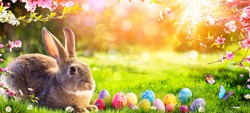 Easter - Cute Bunny In Sunny Garden With Decorated Eggs