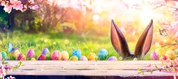Abstract Defocused Easter Scene - Ears Bunny Behind Grass And Decorated Eggs In Flowery Field