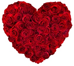 Heart of red roses 