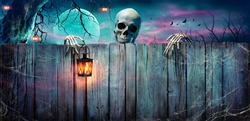 Halloween - Skeleton Holding Lantern On Wooden Banner In Spooky Night