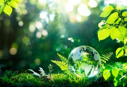 Environment. Glass Globe On Grass Moss In Forest - Green Planet With Abstract Defocused Bokeh Lights - Environmental Conservation Concept