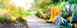 Gardening - Set Of Tools For Gardener And Flowerpots In Sunny Garden
