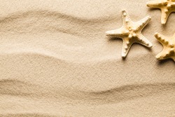 Summer background - starfish on beach sand