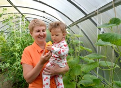 The woman gives to the little granddaughter sweet pepper in the greenhouse