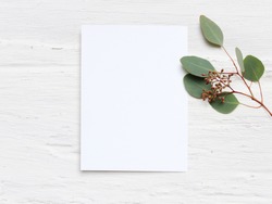 Feminine wedding desktop mock-up with blank paper card and Eucalyptus populus branch on  white shabby table background. Empty space. Styled stock photo, web banner. Flat lay, top view.
