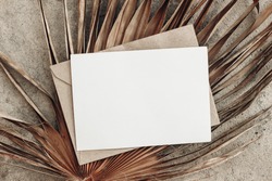 Summer stationery still life. Closeup of blank card mock-up and craft envelope on dry palm leaf. Grunge beige concrete background. Flat lay, top view, tropical vacation concept. Moody boho design.