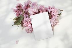 Wedding spring styled stock photo. Feminine desktop. Blossoming pink Japanese cherry tree, sakura branch. Blank greeting card, invitation mockup in sunlight. White dappled table background, top view.