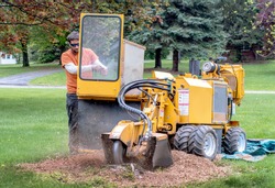 A young man operates a stump grinder, a machine that grinds down a tree stump into fine mulch