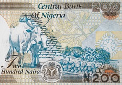 Nigeria 200 naira  banknote close up, Nigerian money closeup. 